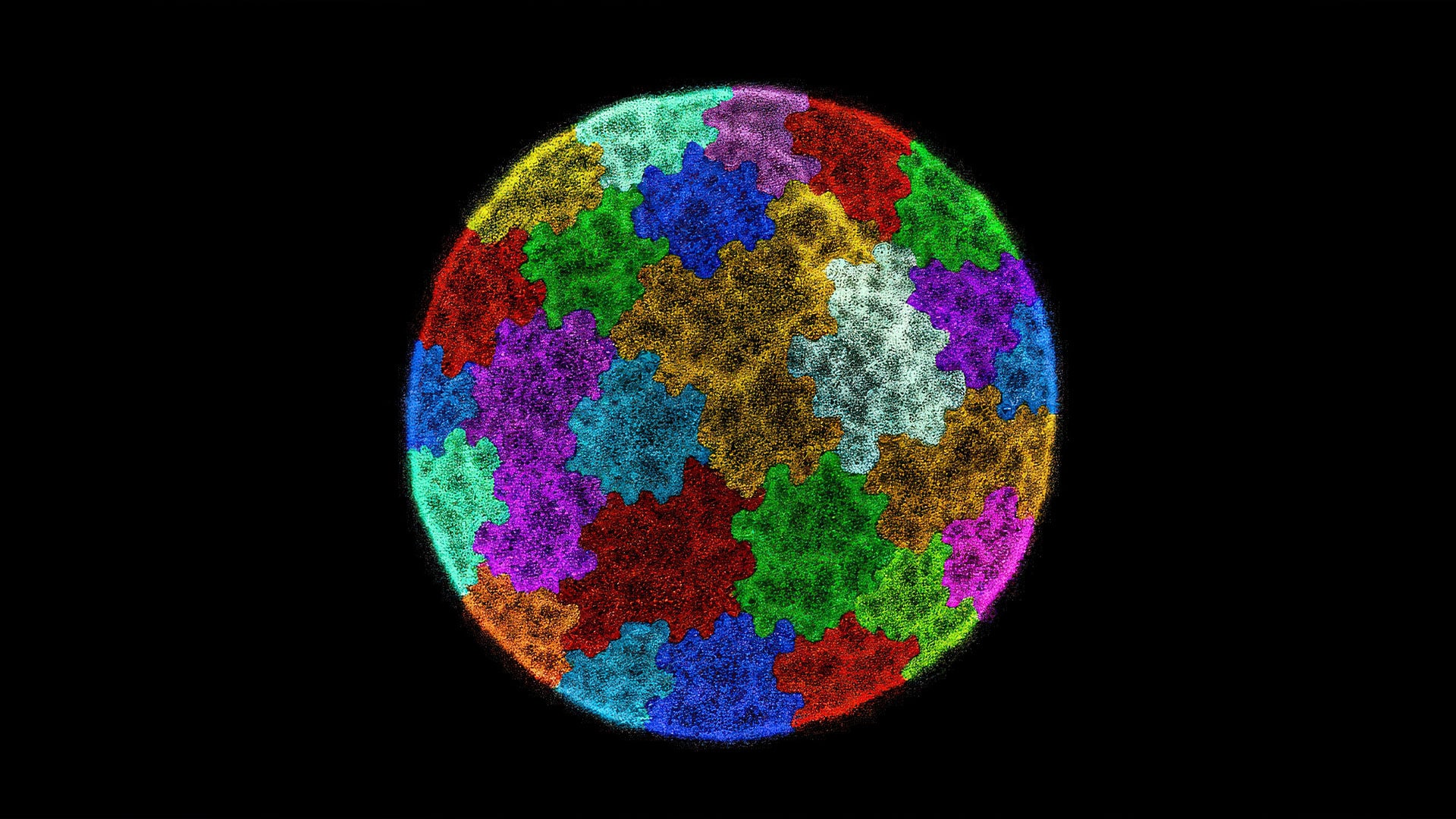 DNA inside the nucleus of cell