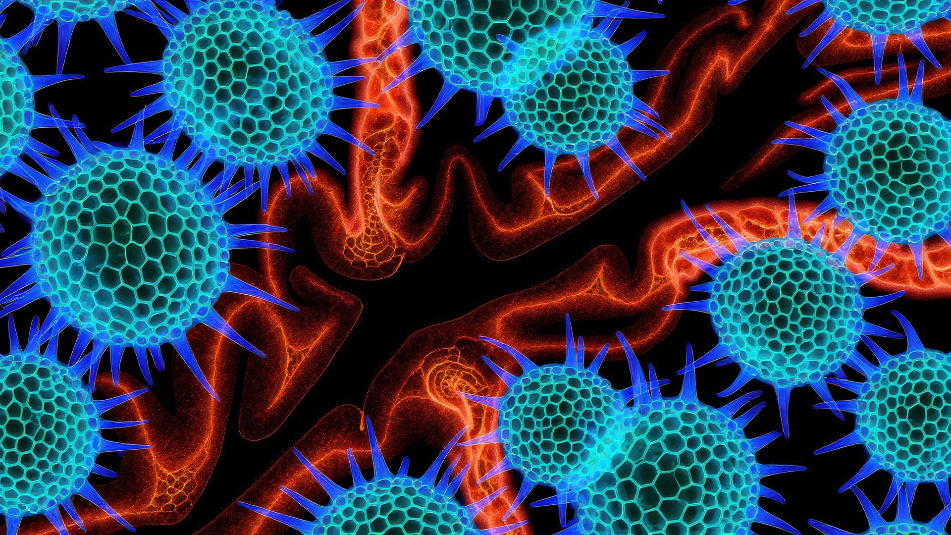 Cross-section of a grass leaf